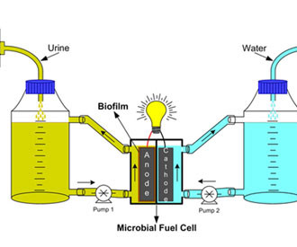 Now, electricity from urine!